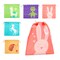 15 Pack Drawstring Animal Themed Party Favor Bags for Kids Birthday, 5 Designs (10 x 12 In)